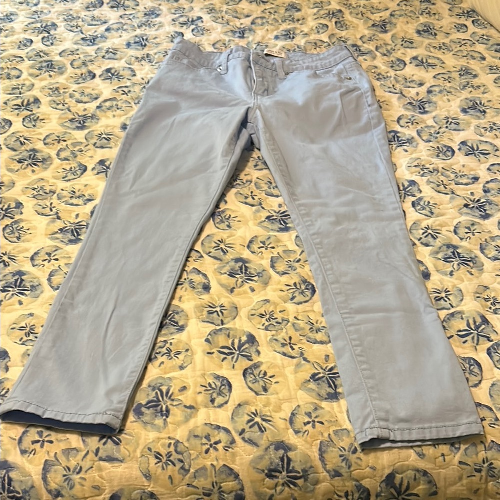 Crown & Ivy Blue Skinny Jeans Soft Denim